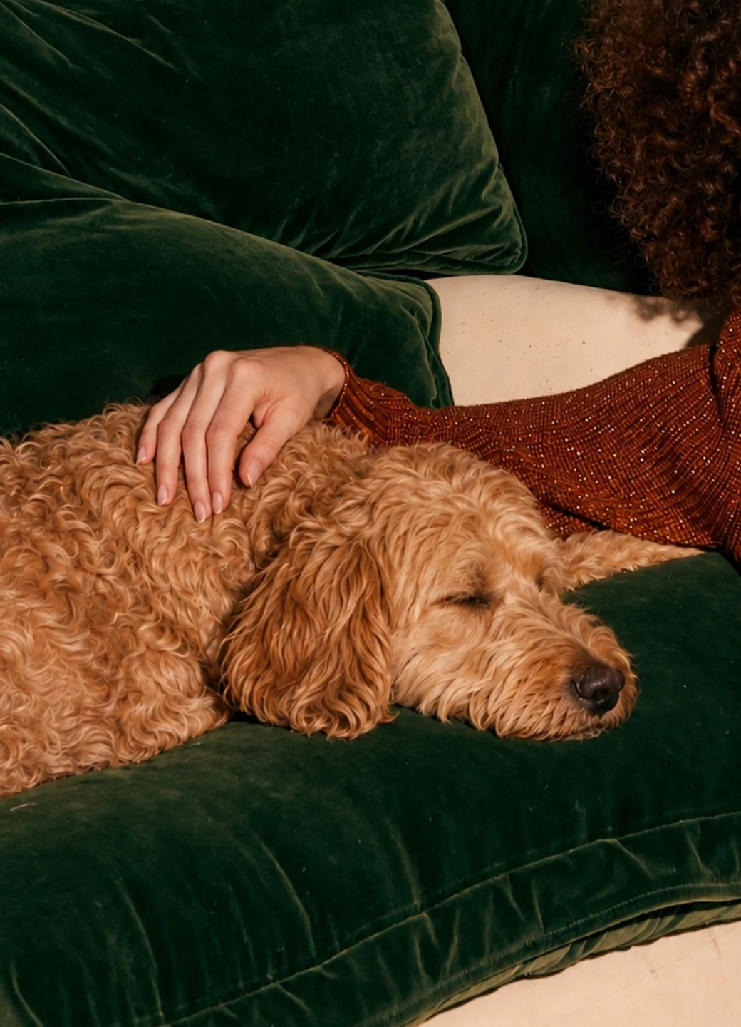 A dog resting beside its owner on a green sofa